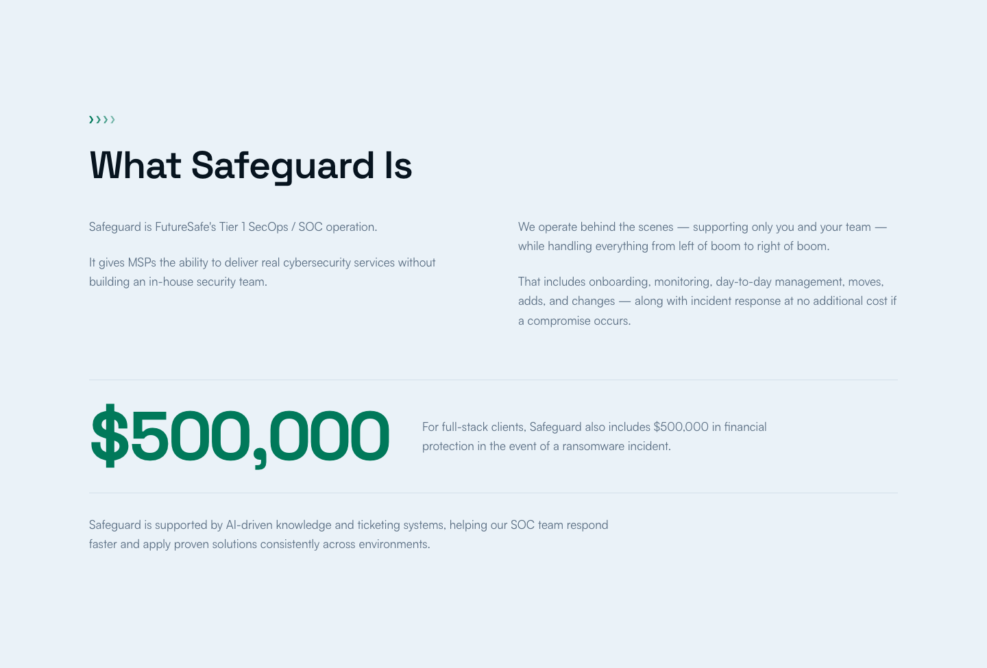 What Safeguard Is