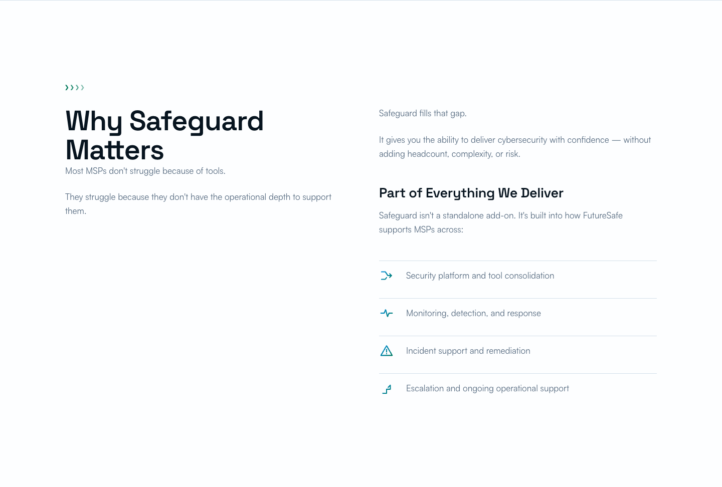 Why Safeguard Matters